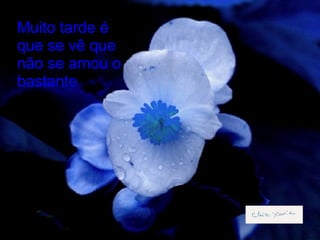 Muito tarde é que se vê que não se amou o bastante 