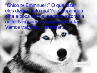 “ Chico p/ Emmnuel :” O que fazer  eles dizem tanto mal ?ele respondeu : olha a boca do mal na terra é como a noite .Ninguém consegue fechá-la. Vamos trabalhar, trabalhar.... 