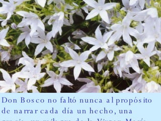 Frases de Don Bosco Sobre MaríaA Auxiliadora