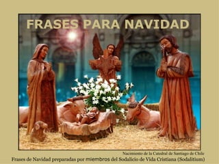 FRASES PARA NAVIDAD Frases de Navidad preparadas por  miembros  del Sodalicio de Vida Cristiana (Sodalitium) Nacimiento de la Catedral de Santiago de Chile 