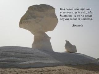 Dos cosas son infinitas:  el universo y la estupidez humana;  y yo no estoy seguro sobre el universo. Einstein 