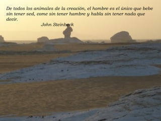 De todos los animales de la creación,   el hombre es el único que bebe sin tener sed,   come sin tener hambre y habla sin tener nada que decir. John Steinbeck  