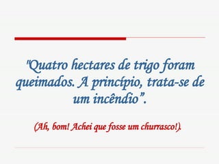 "Quatro hectares de trigo foram queimados. A princípio, trata-se de um incêndio”. (Ah, bom! Achei que fosse um churrasco!).   