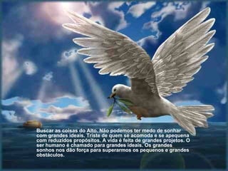 Buscar as coisas do Alto. Não podemos ter medo de sonhar com grandes ideais. Triste de quem se acomoda e se apequena com reduzidos propósitos. A vida é feita de grandes projetos. O ser humano é chamado para grandes ideais. Os grandes sonhos nos dão força para superarmos os pequenos e grandes obstáculos. 
