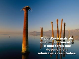 O perdão é mais do que um sentimento; é uma força que desencadeia admiráveis resultados.  