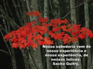 Nossa sabedoria vem de nossa experiência e nossa experiência, de nossas tolices.  Sacha Guitry.  