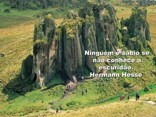 Ninguém é sábio se não conhece a escuridão.  Hermann Hesse   