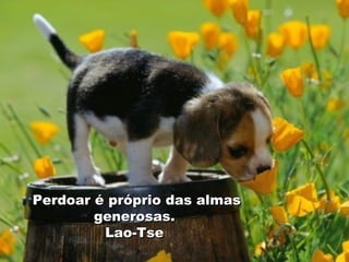 . Perdoar é próprio das almas generosas.  Lao-Tse  