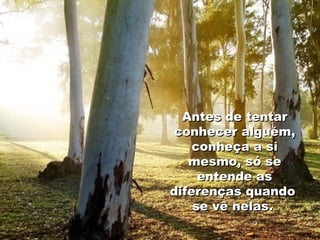 Antes de tentar conhecer alguém, conheça a si mesmo, só se entende as diferenças quando  se vê nelas.   