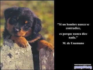 "Si un hombre nunca se contradice, es porque nunca dice nada." M. de Unamuno 