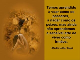 Temos aprendido a voar como os pássaros,  a nadar como os peixes, mas ainda não aprendemos  a sensível arte de viver como irmãos. (Martin Luther King)   