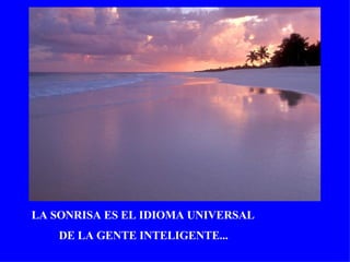 LA SONRISA ES EL IDIOMA UNIVERSAL   DE LA GENTE INTELIGENTE... 