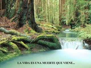 LA VIDA ES UNA MUERTE QUE VIENE... 
