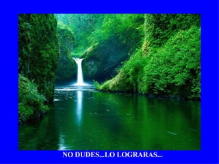 NO DUDES...LO LOGRARAS... 