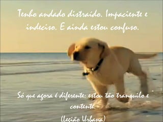 Tenho andado distraído. Impaciente e
  indeciso. E ainda estou confuso.




Só que agora é diferente: estou tão tranquilo e
                   contente.
               (Legião Urbana)
 