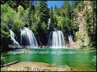 "Podemos escolher o que semear, mas somos
obrigados a colher aquilo que plantamos."


Provérbio chinês
 