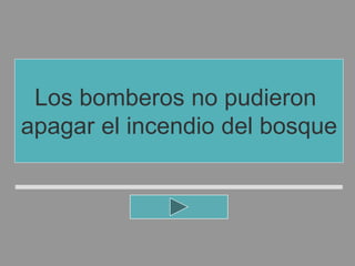 Los bomberos no pudieron
apagar el incendio del bosque
 