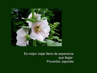 Es mejor viajar lllleennoo ddee eessppeerraannzzaa 
qquuee lllleeggaarr 
PPrroovveerrbbiioo JJaappoonnééss 
 