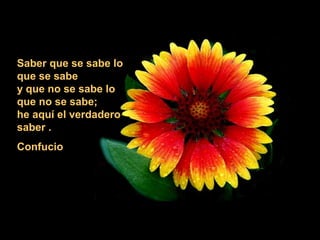 SSaabbeerr qquuee ssee ssaabbee lloo 
qquuee ssee ssaabbee 
yy qquuee nnoo ssee ssaabbee lloo 
qquuee nnoo ssee ssaabbee;; 
hhee aaqquuíí eell vveerrddaaddeerroo 
ssaabbeerr .. 
CCoonnffuucciioo 
 