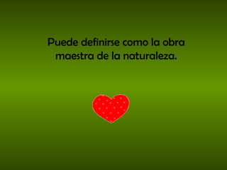 Puede definirse como la obra maestra de la naturaleza. 
