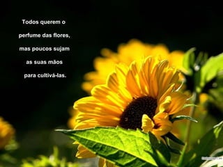 Todos querem o  perfume das flores, mas poucos sujam  as suas mãos para cultivá-las. 