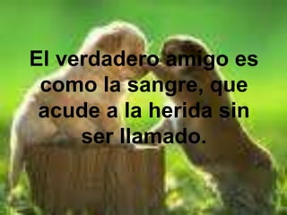 El verdadero amigo es como la sangre, que acude a la herida sin ser llamado. 