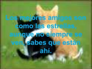 Los mejores amigos son como las estrellas, aunque no siempre se ven, sabes que están ahí.