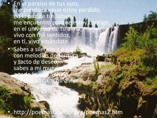 En el paraíso de tus ojos,me pierdo porque estoy perdido,en la paz de tus labios,me encuentro porque estoy contigo,en el universo de tu alma,vivo con mil sentidos,en ti, vivo amándote.Sabes a silencio y a sueños,con melodías de ternuray tacto de deseo,sabes a mi mundo,a todo lo que anhelo,sabes a amor, a mi amor .http://poemasdeamor.org/poemas2.htm