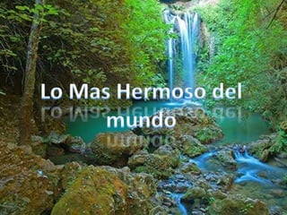 Lo Mas Hermoso del mundo 