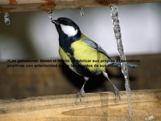Los ganadores  tienen el hábito de fabricar sus propias expectativas positivas con anterioridad sobre los eventos de sus vidas. 