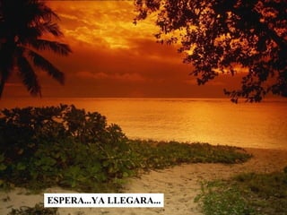 ESPERA...YA LLEGARA... 