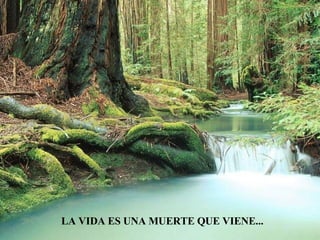 LA VIDA ES UNA MUERTE QUE VIENE... 