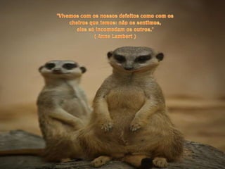 "Vivemos com os nossos defeitos como com os cheiros que temos: não os sentimos, eles só incomodam os outros."( Anne Lambert )
