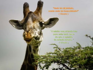 "Onde há dignidade, senão onde há honestidade?"( Cícero ) "A minha consciência tem para mim mais peso do que a opinião do mundo inteiro. "( Cícero ) 