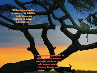 "O Homem aprendeu a escrever os defeitosno bronze e as virtudes na água. "( Beethoven )" O verdadeiro significado davida é plantar árvores, sob cujas sombras você não espera sentar."( Nelson Henderson )