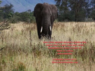 Uma coisaaprendidurante a minhavida,sofrernao e a piorcoisaqueexiste. Desobedecera deus e a piordetodas as coisas.Sinceramente,Fernanda torres/2011fftorres65@hotmail.com