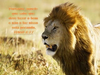 Portanto, aquele que sabe que deve fazer o bem e não o faz nissoestá pecando. TIAGO 4:17