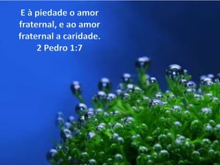 E à piedade o amor fraternal, e ao amor fraternal a caridade. 2 Pedro 1:7