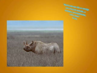 "Não há nada que não se consiga com a força de vontade, a bondade e, principalmente, com o amor.“ Cicero 