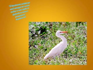 "É literalmente verdade que você consegue ter sucesso melhor e mais rápido em ajudando os outros a prosperarem."Napoleon Hill 