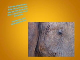 Uma coisaaprendidurante a minhavida, sofrernao e a piorcoisaqueexiste. Desobedecer a Deus e a pior de todas as coisas.Sinceramente,Fernanda Torres/2011fftorres65@hotmail.com