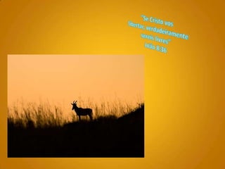 "Se Cristo vos libertar, verdadeiramente sereis livres"  João 8:36 