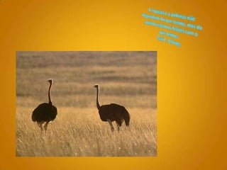 A riqueza e a pobreza não dependem do que temos, mas do quanto estamos felizes com o que temos. Tsai C. Chung.