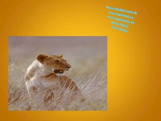 Nossa sabedoria vem de nossa experiência e nossa experiência, de nossas tolices. Sacha Guitry. 