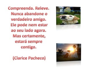 Compreenda. Releve. Nunca abandone o verdadeiro amigo. Ele pode nem estar ao seu lado agora. Mas certamente, estará sempre contigo. (Clarice Pacheco)