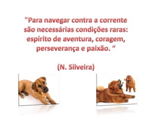 "Para navegar contra a corrente são necessárias condições raras: espírito de aventura, coragem, perseverança e paixão. “(N. Silveira)