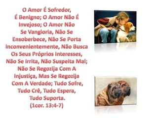 O Amor É Sofredor, É Benigno; O Amor Não É Invejoso; O Amor Não Se Vangloria, Não Se Ensoberbece, Não Se Porta Inconvenientemente, Não Busca Os Seus Próprios Interesses, Não Se Irrita, Não Suspeita Mal; Não Se Regozija Com A Injustiça, Mas Se Regozija Com A Verdade; Tudo Sofre, Tudo Crê, Tudo Espera, Tudo Suporta. (1cor. 13:4-7)