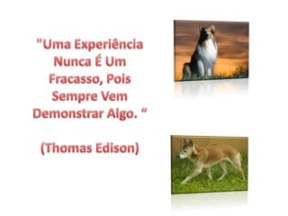 "Uma Experiência Nunca É Um Fracasso, Pois Sempre Vem Demonstrar Algo. “(Thomas Edison) 