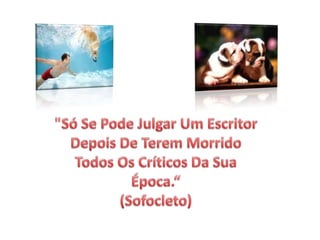 "Só Se Pode Julgar Um Escritor Depois De Terem Morrido Todos Os Críticos Da Sua Época.“(Sofocleto) 