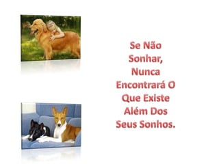 Se Não Sonhar, Nunca Encontrará O Que Existe Além Dos Seus Sonhos. 